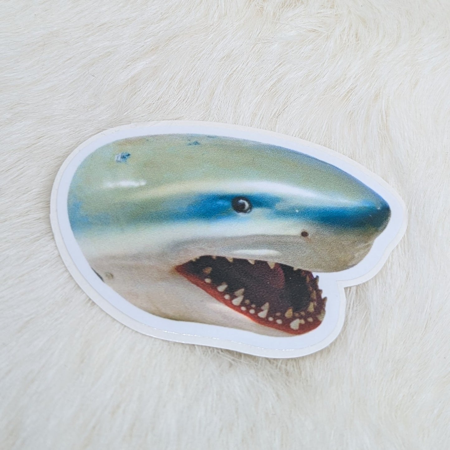 Shark sticker