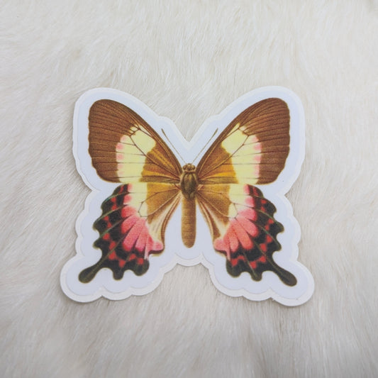 Pink Butterfly Sticker