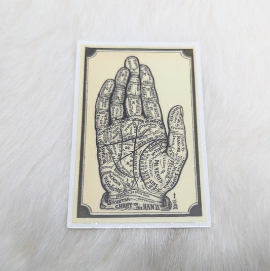 Hand Nervous System Sticker