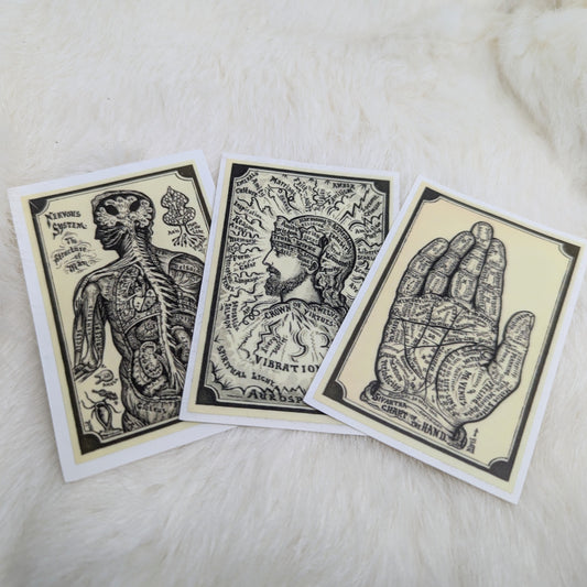 Three Nervous System Stickers