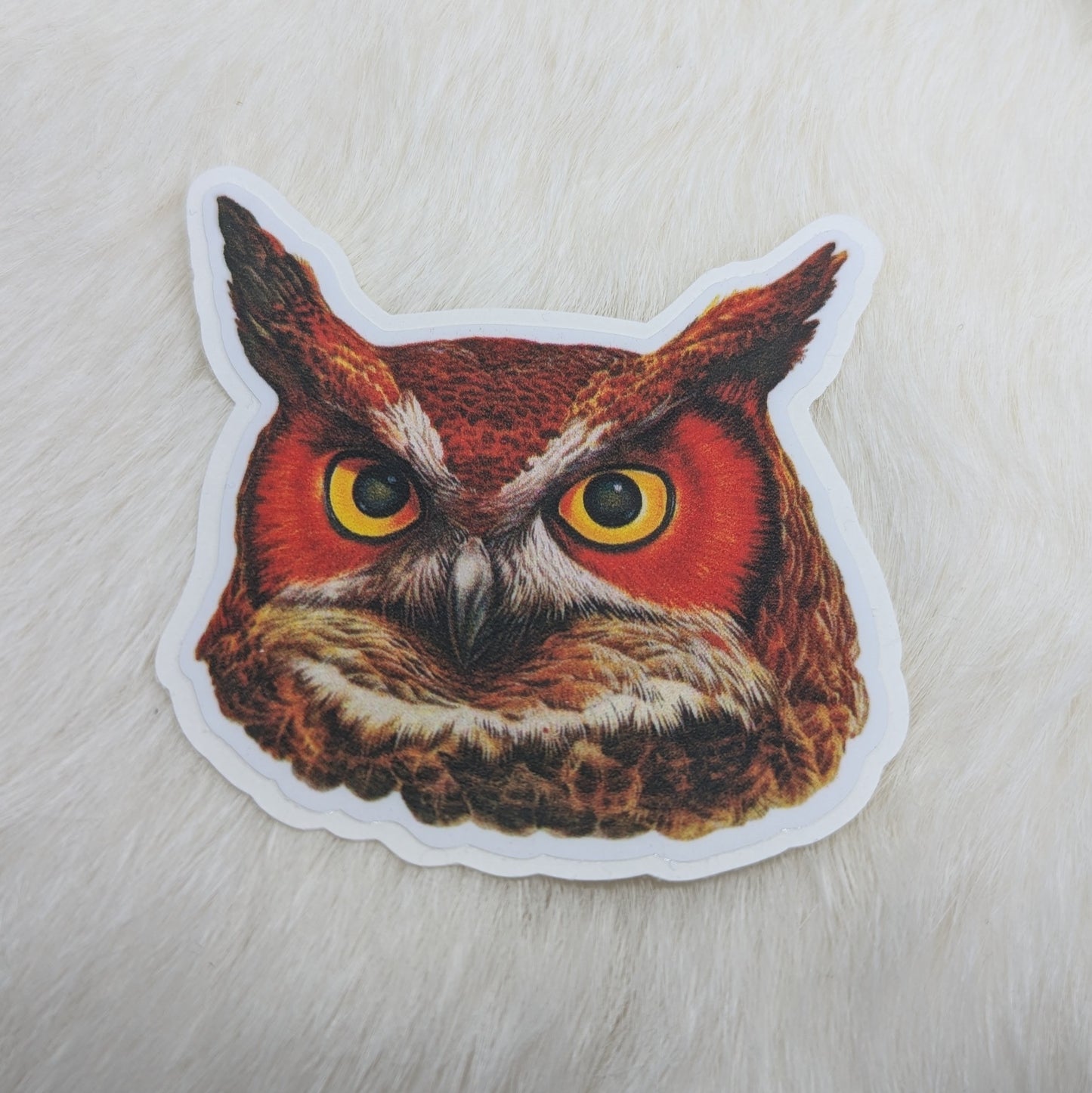 Owl Head Sticker