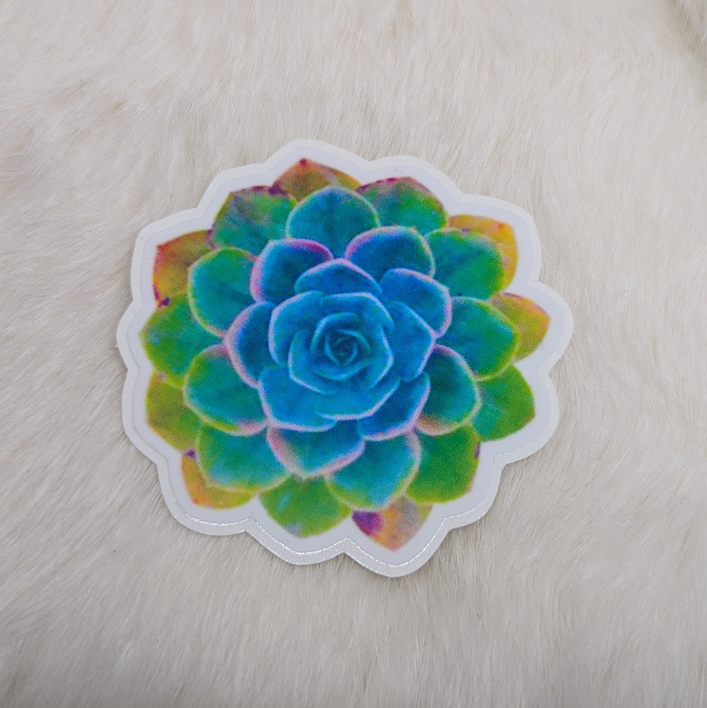 Succulent Sticker